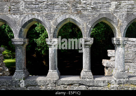 Le caratteristiche architettoniche delle rovine della abbazia di Cong, Cong, County Mayo, Irlanda un ex Abbazia Agostiniana del XIII secolo Foto Stock