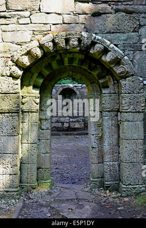 La Chiesa dei Santi (costruito nel 1180 d.c. dai monaci agostiniani di Cong) sull isola di Inchagoill, Lough Corrib, Galway, Irlanda Foto Stock