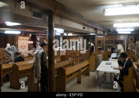 La Torah e la lettura presso le preghiere del mattino all'interno Lubavitch sede in Crown Heights Brooklyn New York. Foto Stock