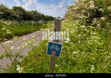 Percorso ciclabile segno su Norfolk vicolo del paese a Ringstead UK potrebbe Foto Stock
