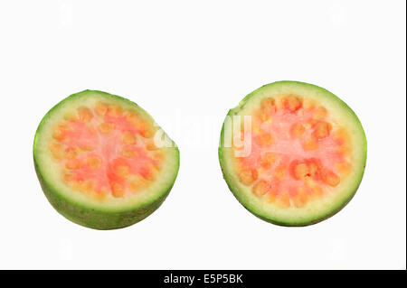 Guaiava comune o Apple guaiava (Psidium guaja), mezzo frutto Foto Stock