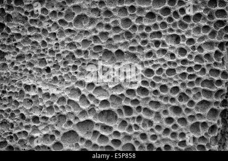 Pietra vulcanica texture,tufo grigio, Russia, Mare di ​​Japan Foto Stock