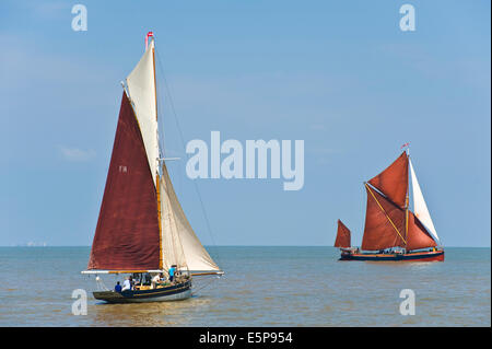 Vintage oyster smack & Thanes Barge vela in regata durante Whitstable Oyster Festival Kent England Regno Unito Foto Stock