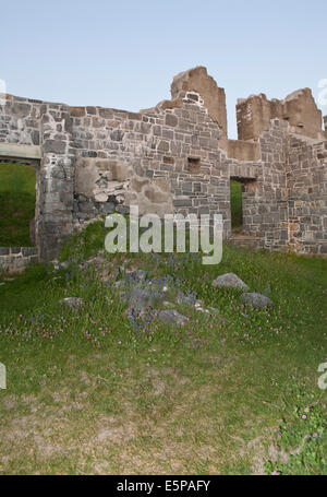 Rovine della caserma di Fort Crown Point nello Stato di New York. Foto Stock