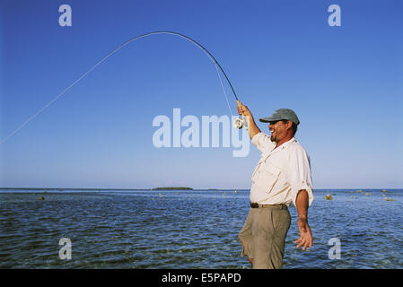 Pesca a Mosca per bonefish in Belize, America Centrale Foto Stock