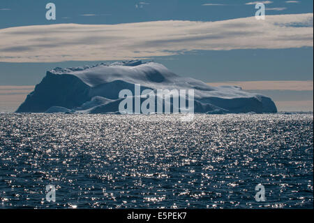 Enormi iceberg, Cierva Cove, Chavdar Penisola Antartica Foto Stock