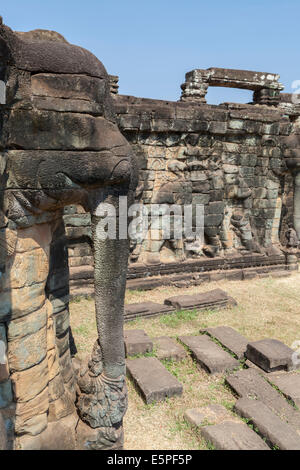 Elephant Trunk presso la terrazza degli elefanti, Angkor Thom, Cambogia Foto Stock