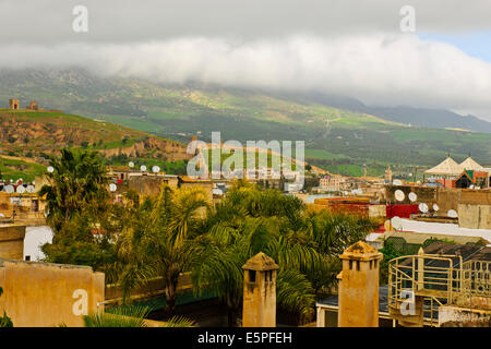 Riad Myra,bellissima scolpiti in stucco di pannelli di cedro,archi,pavimenti in pietra con intricati mosaici,Fontana centrale,tetto,Fez,Marocco Foto Stock