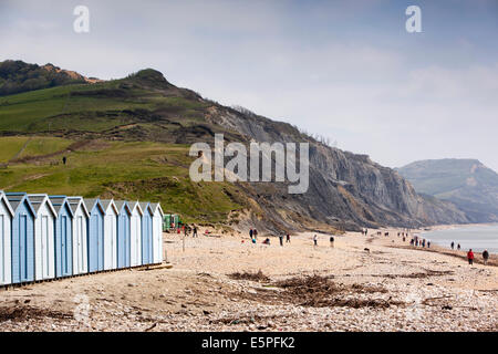 Regno Unito Inghilterra, Dorset, Charmouth, cacciatori di fossili di ricerca sulla spiaggia sotto le scogliere Foto Stock