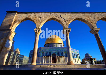 La Cupola della roccia, il Monte del Tempio, Sito Patrimonio Mondiale dell'UNESCO, Gerusalemme, Israele, Medio Oriente Foto Stock