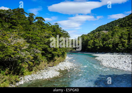 Bellissimo Fiume Haast, Haast Pass, South Island, in Nuova Zelanda, Pacific Foto Stock