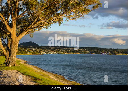 Nel tardo pomeriggio la luce al tramonto sulle rive del Lago Taupo, Isola del nord, Nuova Zelanda, Pacific Foto Stock