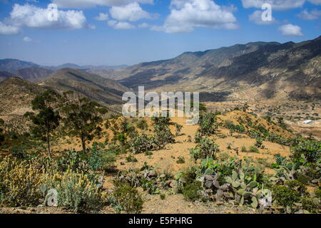 Paesaggio di montagna lungo la strada che da Massaua ad Asmara, Eritrea, Africa Foto Stock