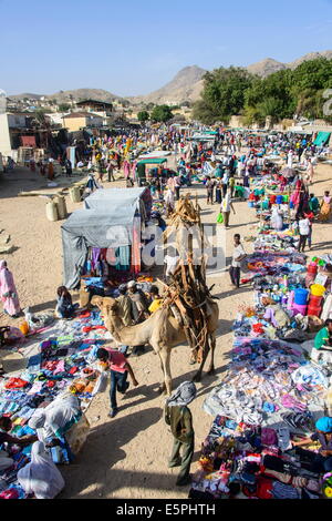 Caricate il cammello a piedi attraverso il colorato mercato lunedì di Keren, Eritrea, Africa Foto Stock