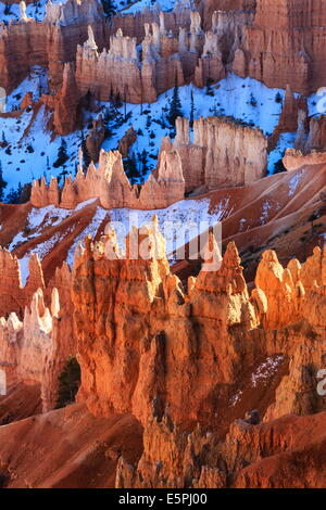 Hoodoos e neve illuminata da forti nel tardo pomeriggio di sole in inverno vicino al punto di Sunrise, Parco Nazionale di Bryce Canyon, Utah, Stati Uniti d'America Foto Stock