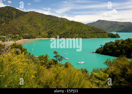 Ngakuta Bay, Queen Charlotte Sound, vicino a Picton Marlborough, Regione di South Island, in Nuova Zelanda, Pacific Foto Stock