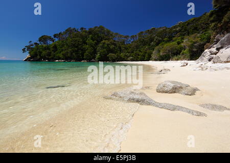 Francese della Bay Beach, il Parco Nazionale Abel Tasman Nelson regione, South Island, in Nuova Zelanda, Pacific Foto Stock