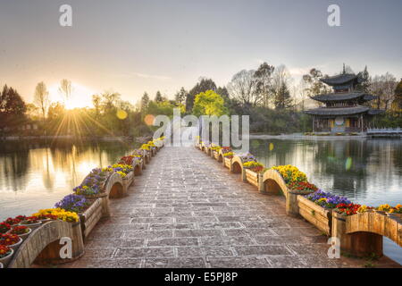 Ponte Suocui e Luna abbracciando Pagoda a Lijiang's Heilongtan/Black Dragon Pool. Foto Stock