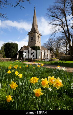 La Chiesa Parrocchiale di Santa Maria con la molla narcisi, Lower Slaughter, Cotswolds, Gloucestershire, England, Regno Unito Foto Stock