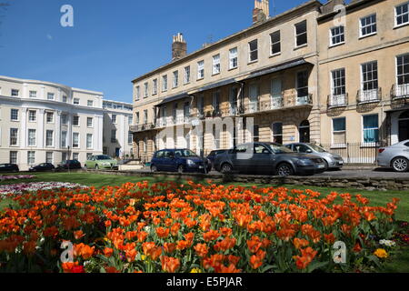 Priory Parade, stile Regency case con molla tulipani, Cheltenham, Gloucestershire, England, Regno Unito, Europa Foto Stock