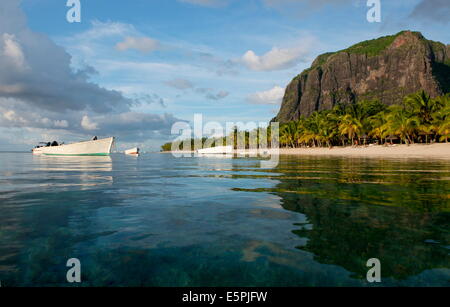 Nel tardo pomeriggio le riflessioni di Le Morne Brabant e palme in mare, Le Morne Brabant penisola a sud ovest di Mauritius Foto Stock