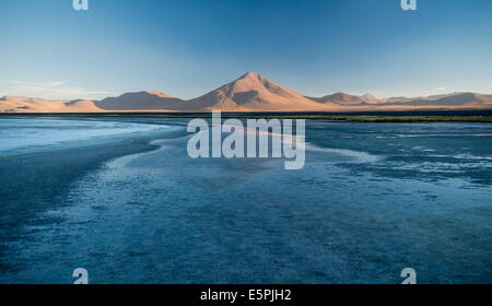 Laguna Colorada, Reserva Eduardo Avaroa, Bolivia, Sud America Foto Stock