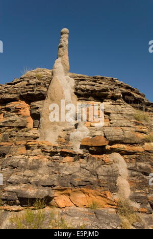 Colline di arenaria e termite tumuli in cupole, Parco Nazionale di Purmululu (Bungle Bungle), sito UNESCO, Australia Foto Stock