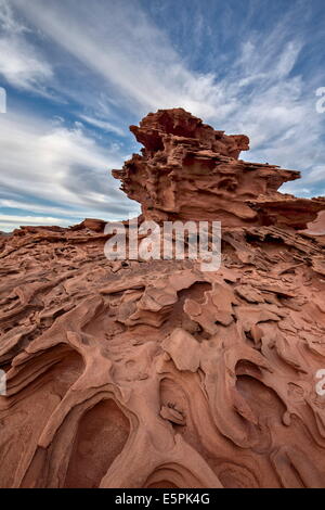 Pietra arenaria rossa con tridimensionale di forme di erosione, Gold Butte, Nevada, Stati Uniti d'America, America del Nord Foto Stock