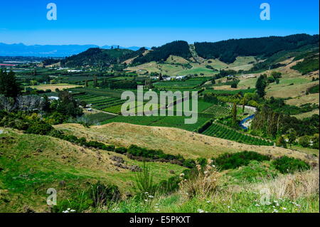 Vista sulla valle lussureggiante di Kahurangi National Park, South Island, in Nuova Zelanda, Pacific Foto Stock