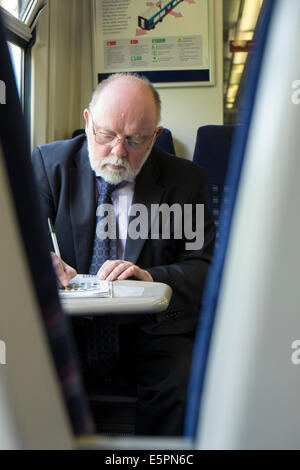 " Commuter " completare un cruciverba sul treno Foto Stock