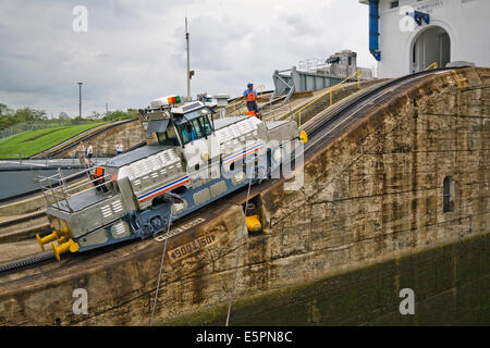 Mulo da vicino il traino di nave da crociera lungo il blocco di Miraflores, Panama Canal Foto Stock