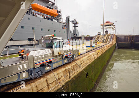 Mulo da vicino il traino di nave da crociera lungo Pedro Miguel canal, Panama Canal Foto Stock