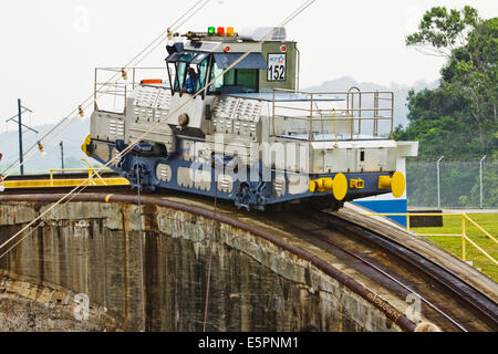 Mulo da vicino il traino di una nave da crociera lungo la serratura, Panama Canal Foto Stock