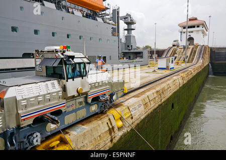 Mulo da vicino il traino di nave da crociera lungo Pedro Miguel canal, Panama Canal Foto Stock