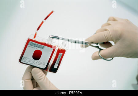 La terapia cellulare in laboratorio. Foto Stock