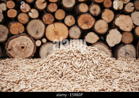 Pellet di pino di fronte a un muro di firewoods Foto Stock