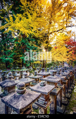 Nara, Giappone al Santuario Kasuga-Taisha con la caduta delle foglie. Foto Stock