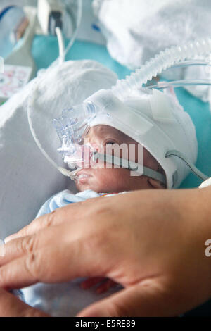 Prematuro neonato posto sotto assistenza respiratoria, madre di mettere le mani su il suo bambino a silenzioso Neonatalogy Foto Stock