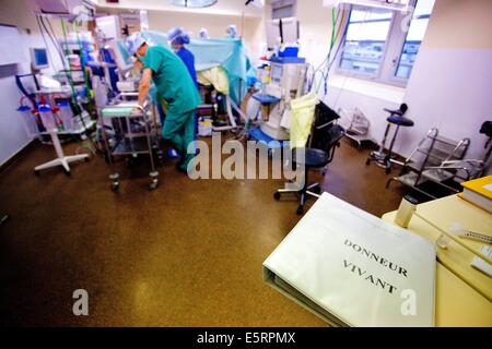 Rimozione parziale di un fegato da un donatore vivente per laparoscopia per il trapianto, Dipartimento di Chirurgia di Pr Olivier Foto Stock