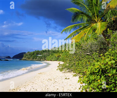Isole Vergini Americane, St John island, Trunk Bay, i turisti sulla spiaggia tropicale nei Caraibi Foto Stock