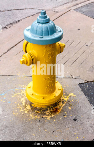 Un giallo e blu-grigio idrante di fuoco Foto Stock