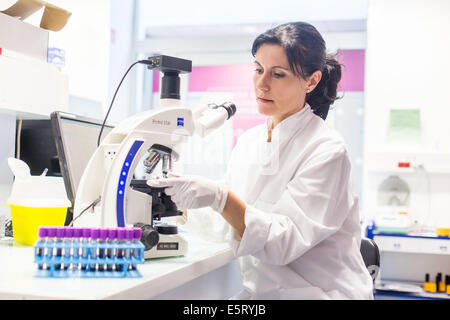 Tecnico femminile utilizzando un microscopio a luce per lo studio di striscio di sangue in un laboratorio di analisi mediche Foto Stock