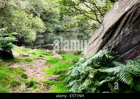 Guisecliff Tarn in estate ponte Pateley North Yorkshire, Inghilterra Foto Stock