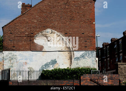 Immagine editoriale dalla città di Nottingham della parete arte su di una estremità di una casa a schiera adiacente al canal raffigurante un pesce emergenti dall'acqua Foto Stock