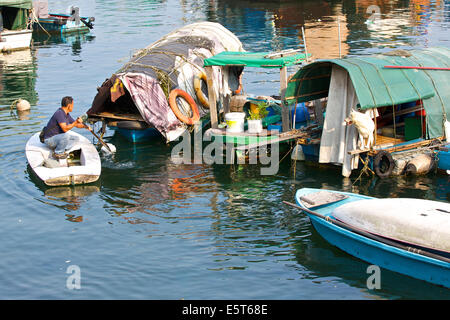 Gli orologi del cane un uomo cinese il canottaggio la sua barca attraverso il Causeway Bay Typhoon Shelter, Hong Kong. Foto Stock