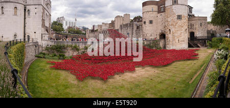 Londra, UK, 5 agosto 2014. In secco del fossato della Torre di Londra, la cui evoluzione è arte di installazione chiamato " sangue spazzata di terre e mari di Red', con ceramica artista Paul Cummins, è stata svelata al pubblico di riconoscere i cento anni della prima giornata piena di Gran Bretagna il coinvolgimento nella Prima Guerra Mondiale. Nella foto : panorama ripreso dall'angolo sud-occidentale del fossato asciutto. Credito: Stephen Chung/Alamy Live News Foto Stock