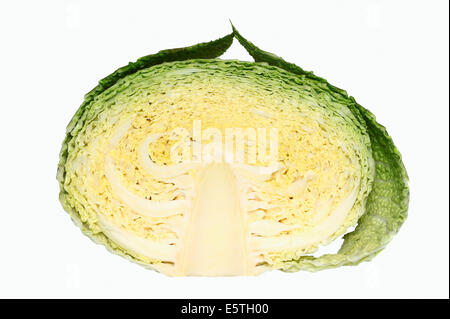 Cavolo verza (Brassica oleracea var sabauda), tagliati a metà Foto Stock