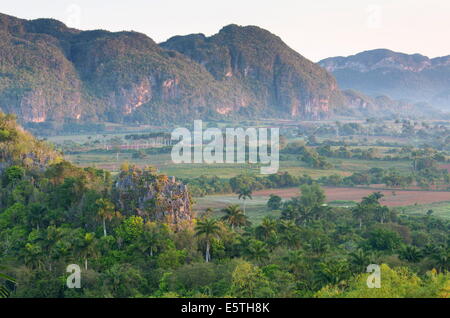 Il Vinales Valley, sito UNESCO, bagnata nei primi giorni di sole del mattino, Vinales, Pinar Del Rio, Cuba, West Indies, dei Caraibi Foto Stock