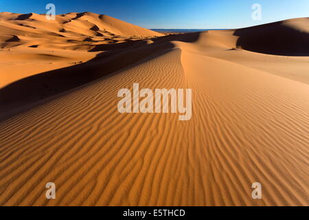 Dune di sabbia arancione e ondulazioni di sabbia, Erg Chebbi mare di sabbia, Sahara Deserto vicino a Merzouga, Marocco, Africa Settentrionale, Africa Foto Stock