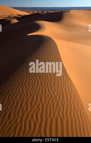 Dune di sabbia arancione e ondulazioni di sabbia, Erg Chebbi mare di sabbia, Sahara Deserto vicino a Merzouga, Marocco, Africa Settentrionale, Africa Foto Stock